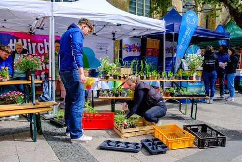 Foto: Mark Fäth
